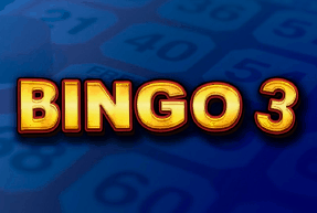 Bingo 3