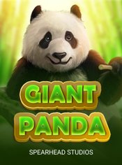 Giant Panda