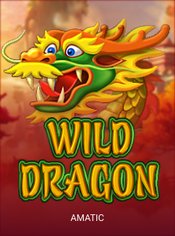 Wild Dragon