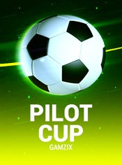 Pilot Cup