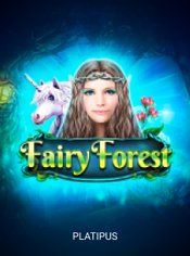 Fairy Forest